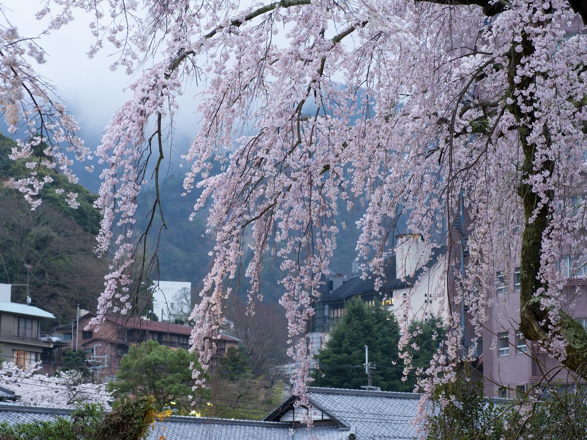 Arima Onsen Motoyu Ryuusenkaku Hotel Kobe Exterior foto