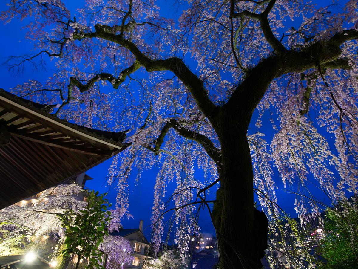 Arima Onsen Motoyu Ryuusenkaku Hotel Kobe Exterior foto